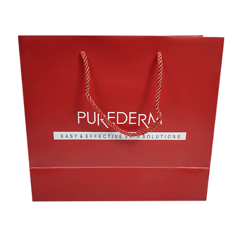 Offset Printing Patch Handle Paper Bag for Durable and Recyclable Custom Shopping