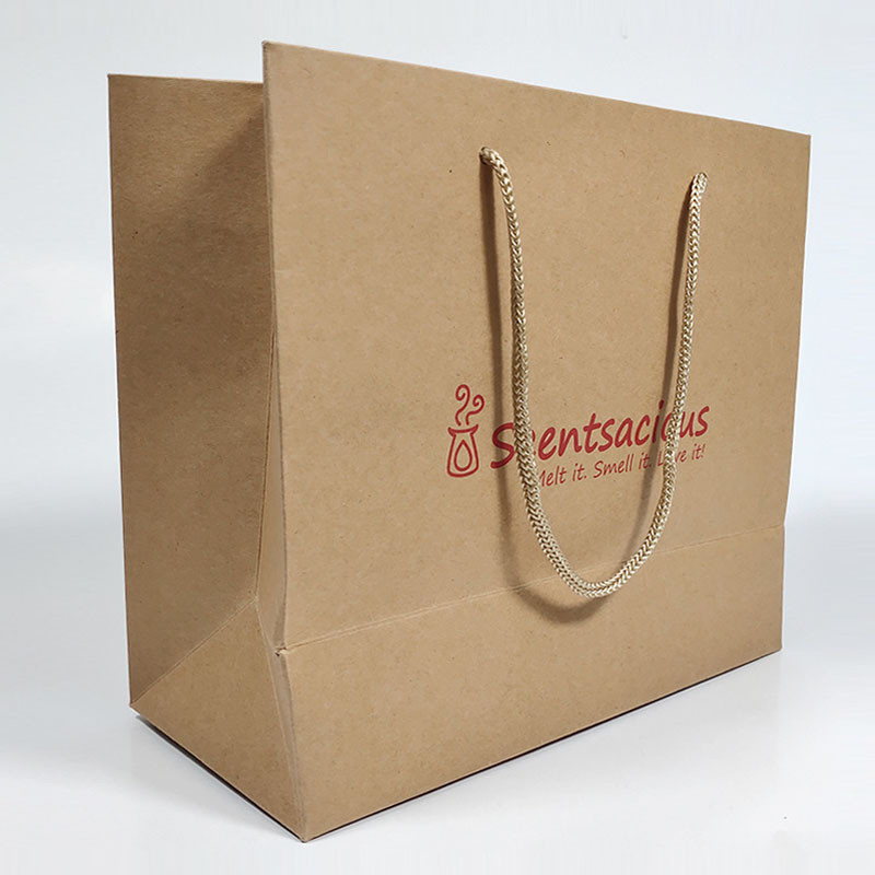 Offset Printing Patch Handle Paper Bag for Durable and Recyclable Custom Shopping