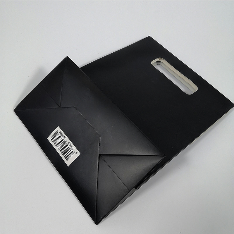 Blush Durable Cosmetic Bag Plastic Paper Gift Bag with Hot Foil Logo OEM