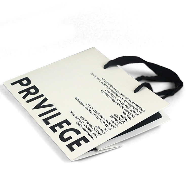 Small Product Gift Shopping Paper Bag With Handle And Personalized Logo