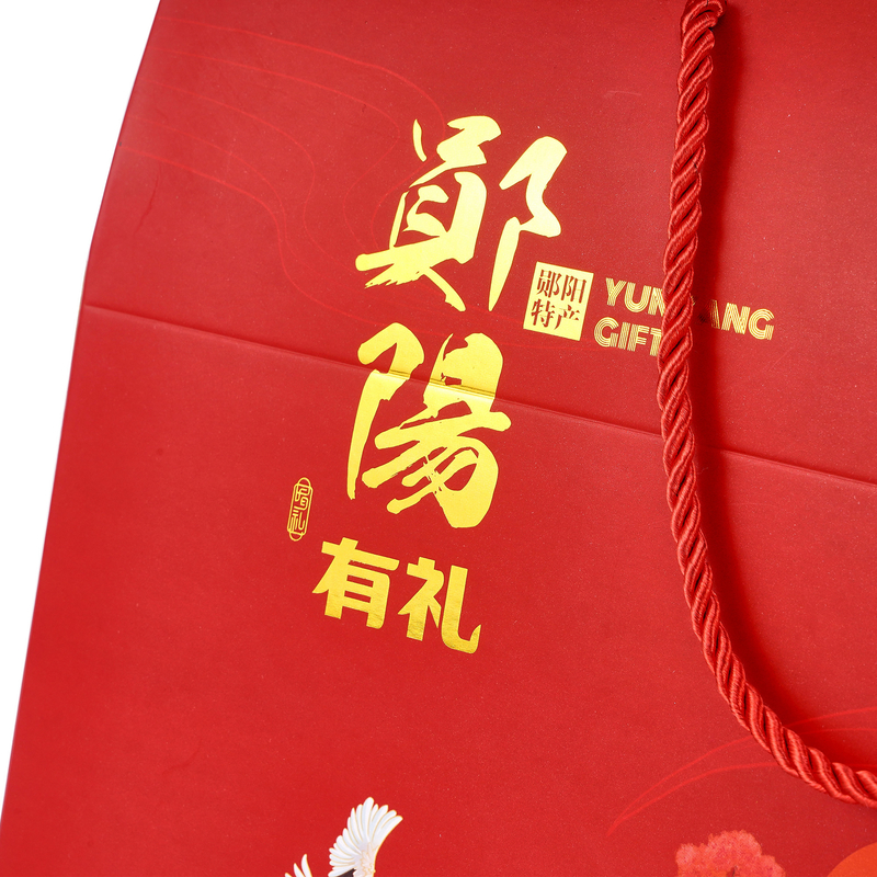 Custom Logo Printing Rigid Cardboard Bags Luxury Bag Style Gift Box With Handle